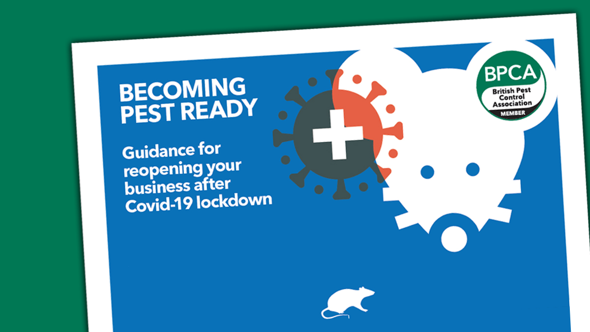 covid 19 pest ready guidance for clients covid 19 pest ready guidance for clients